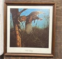 19"x20” framed wild turkey picture