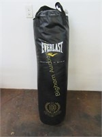 Everlast Punching Bag Approx. 95lbs