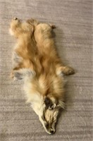 Fox Pelt