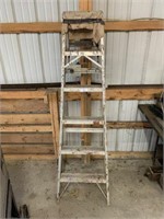 Six-Foot Aluminum Ladder