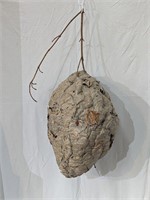 Wasp Nest Large