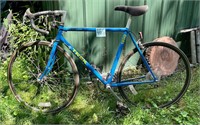 Trek 1200 Alum. 10-Speed Bike