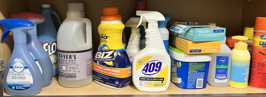 Shelf of Cleaners, Laundry Items, etc.