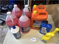 (4) RV/MARINE ANTIFREEZE, TWO JUGS OF