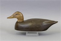 Black Duck Decoy by Unknown Canadian Carver,