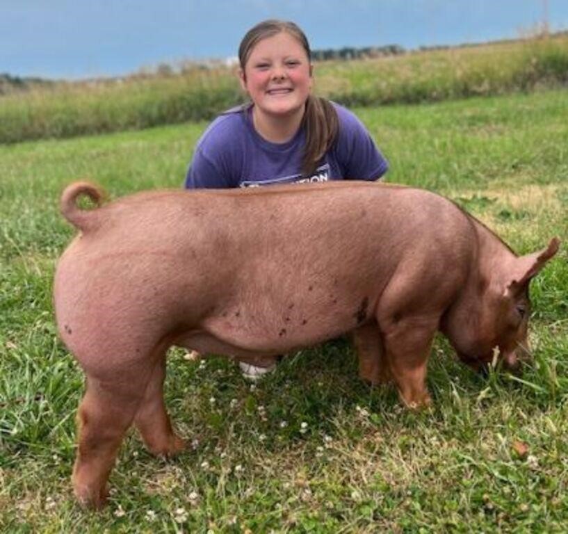 Jay County 4-H Livestock Auction