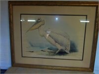 Signed Framed Pelican Litho