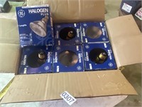 6- Halogen Plus 100 watt bulbs