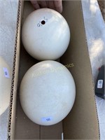 Pair of Empty Ostrich Eggs