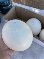 Pair of empty Ostrich Eggs
