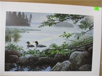 Summer Showers-Loons Print by Persis Weirs