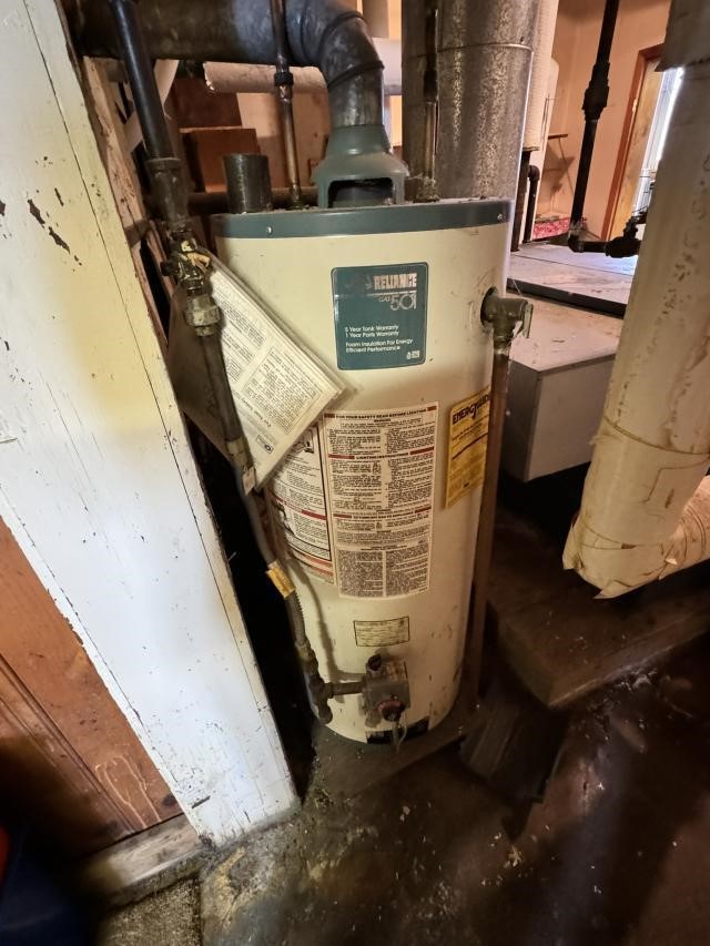 Reliance Gas Water Heater 501  30Gallon