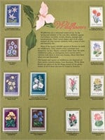 Wildflowers Stamp Set