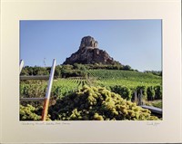 Matted Frank Juge Chardonnay Harvest Photo