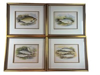 (4) Fish Prints 1870s British Fresh Water Fish