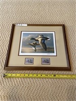 Waterfowl small print