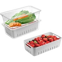 WFF4153  Puricon Food Containers Medium BPA Free