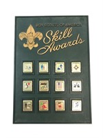 Boy Scouts Of America Skill Awards Display