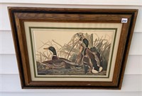 GREAT DUCKS UNLIMITED PRINT 22.5 X 18 INCHES