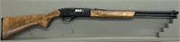 WInchester M190, 22 L or LR