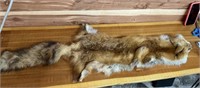 FOX PELT