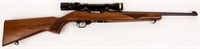 Gun Ruger 10/22 Semi Auto Rifle in .22LR