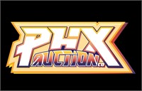 YOU ARE BIDDING IN THE PHX AUTION CO AUCTION