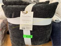 2 Threshold throw pillows