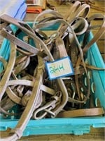 Assortment of Horse Bridles & Leads
