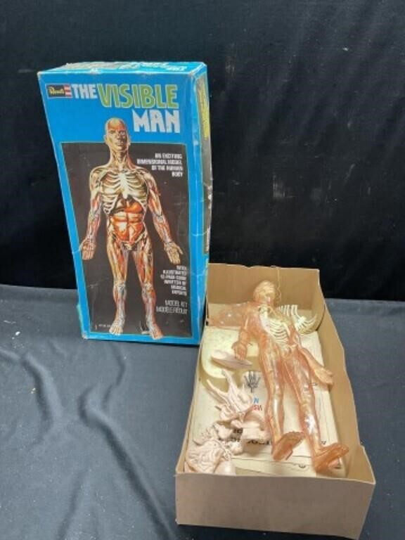 Revell The Visible Man Model
