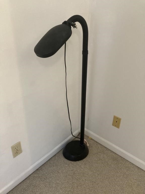 Adjustable Floor lamp