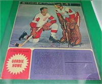 Stars Of The World's Fastest Game Gordie Howe