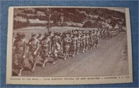 Army Maneuvers Postcard Plattsburg, NY