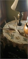 Deer antler