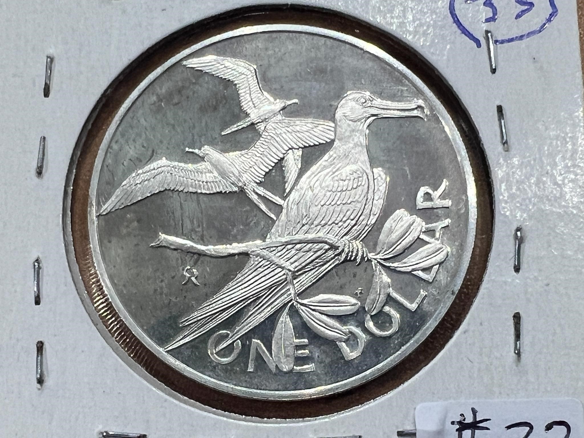 1973 British Virgin Island Silver Pound