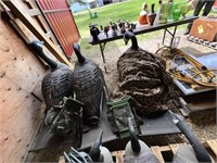 Plastic - Geese & Duck Decoys