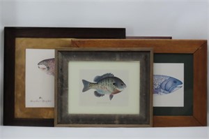 Framed Artwork of Fish