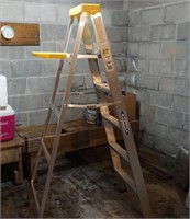 Werner Folding Ladder