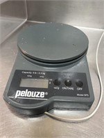 Pelouze SP5 5lb Digital Scale