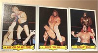 3 - 1985 Topps WWF Cards