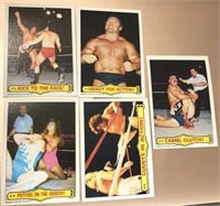 5 - 1985 Topps WWF Trading Cards - WOmens, Putski