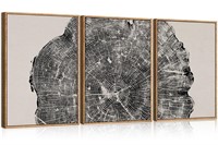 CHDITB Framed Wood Tree Rings Wall Art Set