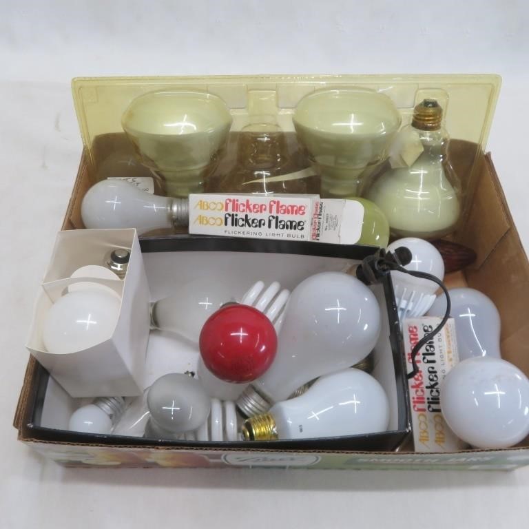 Light Bulbs - Assorted - Untested - No Ship