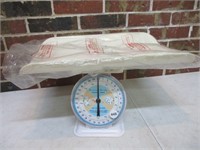 Vintage American Family Nursery Scales