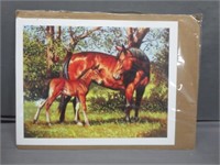 Foal & Mom Horse Print by Paul Cameron Smith