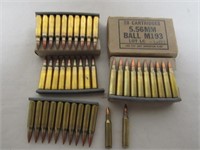60 Rounds 5.56mm