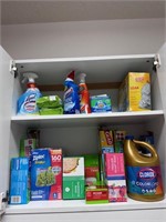 Contents of Cabinet (Cabinet not included)