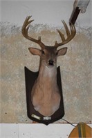 Singing "Buck" Wall Mounted Deer - Sings & Speaks