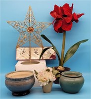 Pottery Planters Decorative Star Amarylis Flower