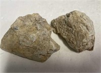 Fossil Rocks